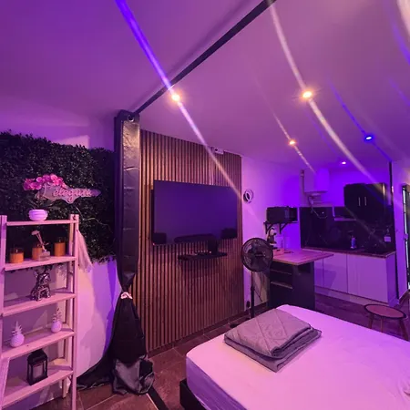 公寓 L Elegance Vue Parking Prive