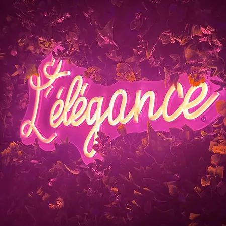 L Elegance Vue Parking Prive 公寓