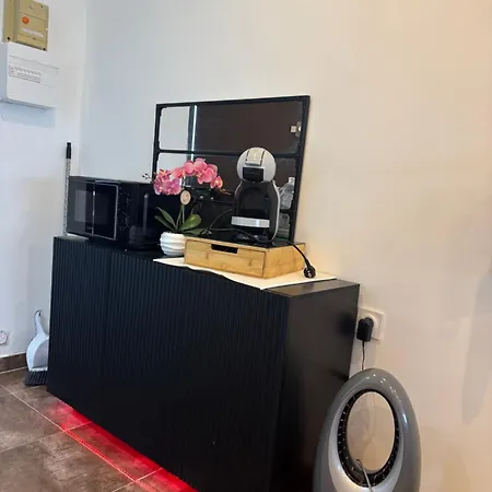 L Elegance Vue Parking Prive 公寓 阿格德