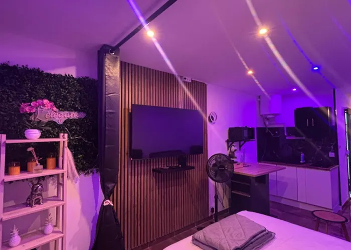 Apartman L Elegance Vue Parking Prive