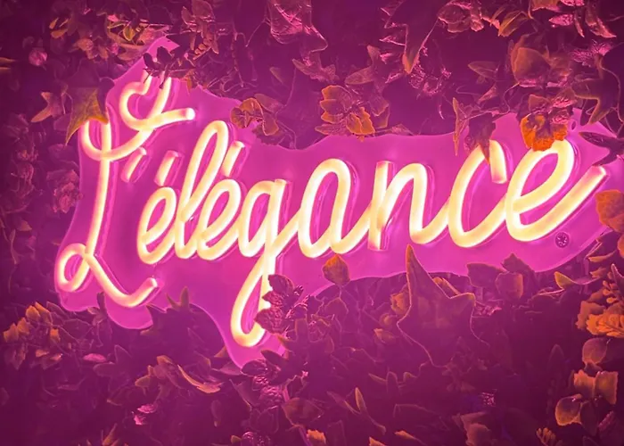 L Elegance Vue Parking Prive Apartman