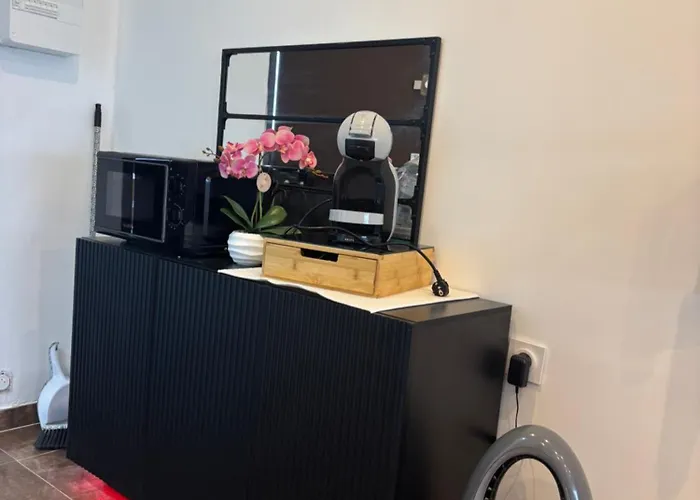 L Elegance Vue Parking Prive Apartman Agde