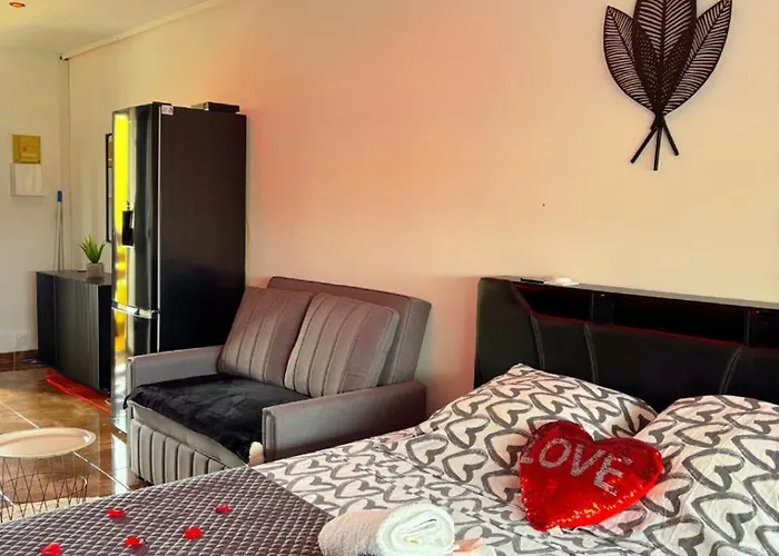 Apartman L Elegance Vue Parking Prive *